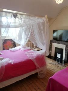 - une chambre avec un lit rose et une moustiquaire dans l'établissement La Chambre d'hôte de Christelle, à Cherbourg en Cotentin