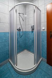 y baño con ducha y puerta de cristal. en Penzion pod Kraví horou, en Bořetice