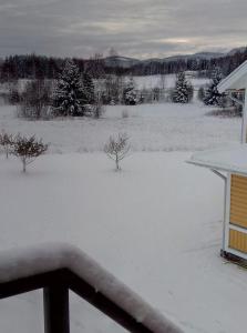 Kış mevsiminde Lägenhet på landet