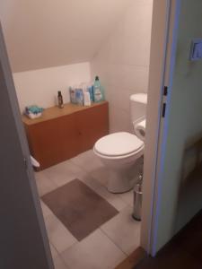Kúpeľňa v ubytovaní Apartmán Křtiny