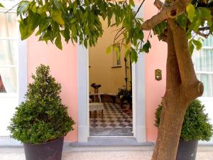 une entrée à une maison rose avec un arbre dans l'établissement B&B Di Camilla, à Pise