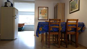采爾馬特的住宿－伽尼藝術公寓和酒店，厨房配有桌椅和冰箱。