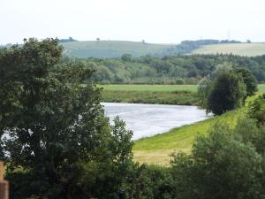 a river in the middle of a field with trees at Rosybank Cottage in Coldstream