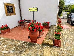 Borgo La Casaccia外面的花园