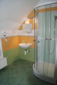 y baño con lavabo y ducha. en Apartmán Český ráj en Turnov