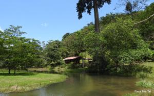 une maison à côté d'une rivière arborée et d'un bâtiment dans l'établissement Mei Tai Cacao Lodge, à Bijagua