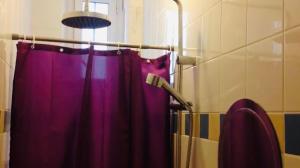 a bathroom with a shower with a purple shower curtain at Appartement Porte De Clichy in Clichy