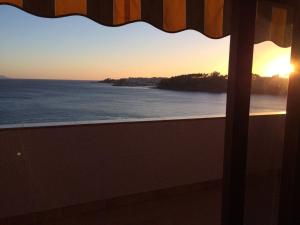 Příroda nedaleko apartmánu + 2 fotografie