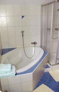 a bathroom with a bath tub and a shower at Ferienhaus Enterberg in Ramsau im Zillertal