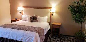 Habitación de hotel con cama con sábanas y almohadas blancas en Stagecoach Inn & Suites, en Dubois