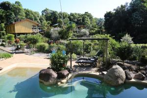 a swimming pool with rocks in a yard at Licuala Lodge in Mission Beach