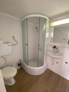 a bathroom with a shower and a toilet and a sink at Bilyana Apartments in Ohrid