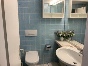 bagno piastrellato blu con servizi igienici e lavandino di Appartement an der Helenenquelle a Bad Pyrmont