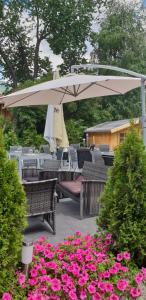 Vonkajšia záhrada v ubytovaní Hotel Schwarzer Adler