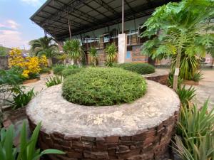 โรงแรมภูน้ำฟ้า - Phunumfha Hotel ชุมแพ外面的花园