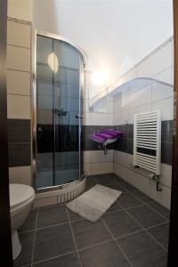 uma casa de banho com um chuveiro, um lavatório e um WC. em Pension Rosa em Cesky Krumlov