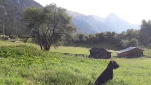 Príroda v okolí hotela