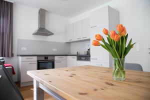 Kuchnia lub aneks kuchenny w obiekcie Appartements Freiraum