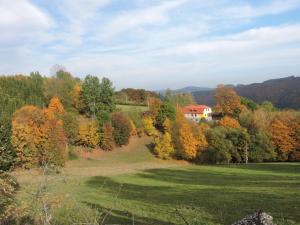Pokrajina v okolici apartmaja