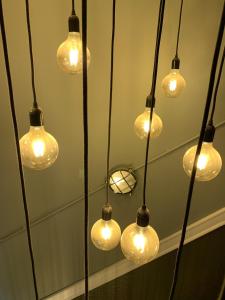 a group of light bulbs hanging from a ceiling at Babbity Bowsters in Glasgow