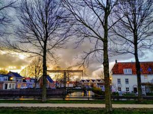 a group of trees in a town with a bridge at Lekkerwegbijleeuwen, 1 minuut naar hartje centrum in Sneek