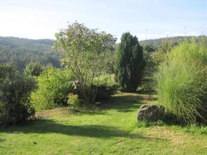 a field of grass with trees and bushes at Bergfeldhof in Haingrund