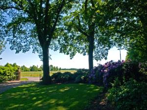 un jardin avec des arbres et des fleurs dans un parc dans l'établissement Landgoed Wittelte Dwingeloo, à Wittelte