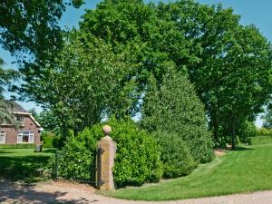 una valla en un patio con un árbol grande en Landgoed Wittelte Dwingeloo, en Wittelte