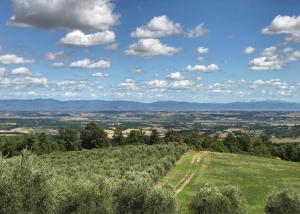 Billede fra billedgalleriet på Borgo Poggio Bianco i Sarteano