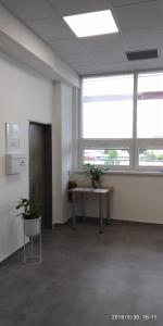 an office room with a table and two potted plants at WHITE CORAL CLUB in Košice