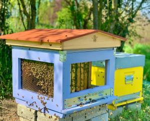 Kép Pet and Breakfast Pet Friendly Country House szállásáról Moncalvóban a galériában