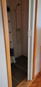 een douche met een glazen deur in de badkamer bij Studio Mulej in Bled