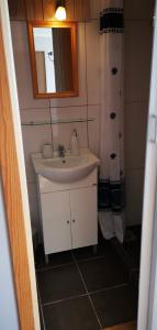een badkamer met een wastafel en een spiegel bij Studio Mulej in Bled
