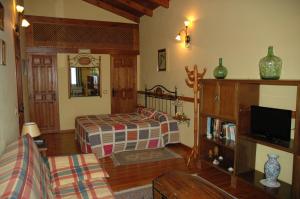 a bedroom with a bed and a tv in a room at Casa Rural El Colorao in Sotés