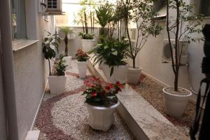 Imagem da galeria de Hotel São Vicente em Passo Fundo