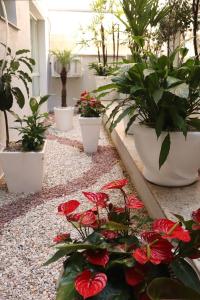 Imagem da galeria de Hotel São Vicente em Passo Fundo