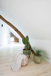 Fotografie z fotogalerie ubytování B&B Amelhof v destinaci Meise