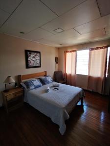 Gallery image of Toucan Hostel in Alajuela City