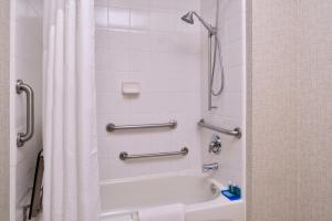 a bathroom with a bath tub with a shower curtain at Holiday Inn Express Walnut Creek by IHG in Walnut Creek