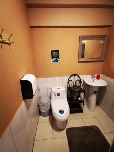 a bathroom with a toilet and a sink at Toucan Hostel in Alajuela City
