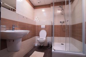 a bathroom with a toilet and a sink and a shower at Domov mládeže - Ubytování Sokolov in Sokolov