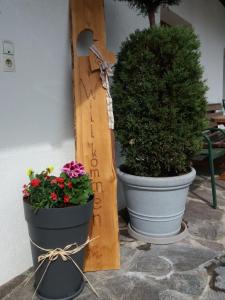 Jardí fora de Pension Sonnenhof