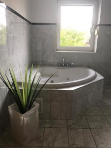 a bathroom with a tub and a window and a plant at Rüsgen Ferienwohnung in Schwalmtal +18 photos