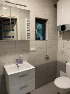 a bathroom with a sink and a toilet and a mirror at Aparts Care Beztroska in Sianozety