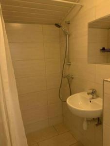 uma casa de banho com um lavatório e um chuveiro em Bungalow 72 em Exloo