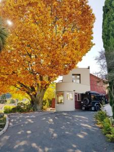 a large tree in front of a house at Villa 10 - Central Stylish Apartment in Queenstown