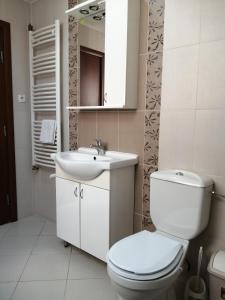 a bathroom with a toilet and a sink and a mirror at Hotel Apartments Bella Mare Belgrade in Belgrade