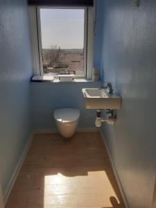 baño con lavabo y ventana en Svendborg Cosy, en Svendborg