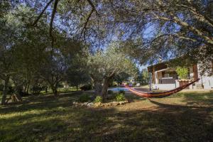 A garden outside Finca Katia