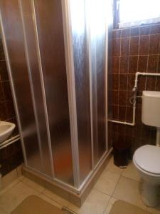 uma casa de banho com um chuveiro, um WC e um lavatório. em Apartman Marija em Zlatibor